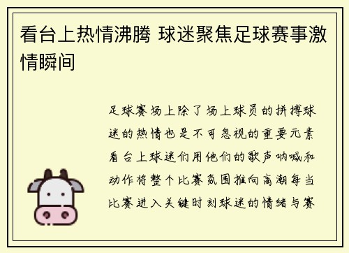 看台上热情沸腾 球迷聚焦足球赛事激情瞬间