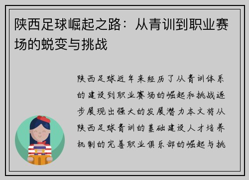 陕西足球崛起之路：从青训到职业赛场的蜕变与挑战