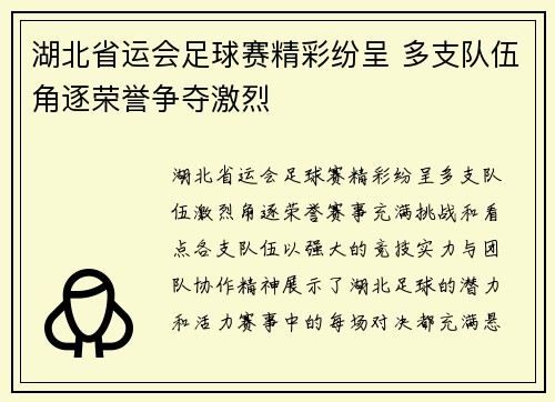 湖北省运会足球赛精彩纷呈 多支队伍角逐荣誉争夺激烈