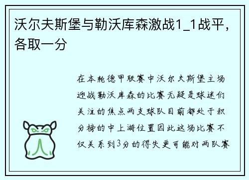 沃尔夫斯堡与勒沃库森激战1_1战平，各取一分