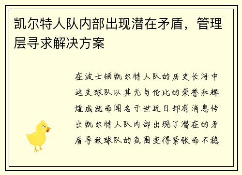 凯尔特人队内部出现潜在矛盾，管理层寻求解决方案