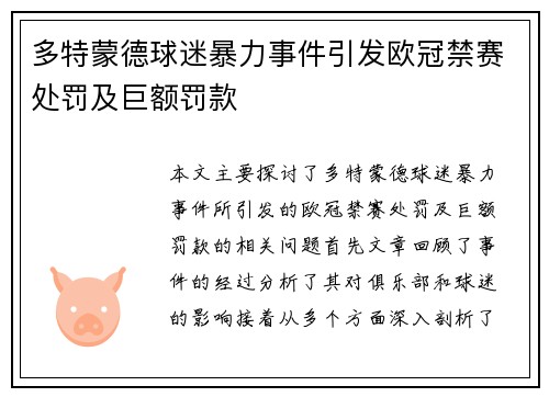 多特蒙德球迷暴力事件引发欧冠禁赛处罚及巨额罚款