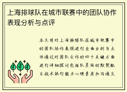 上海排球队在城市联赛中的团队协作表现分析与点评